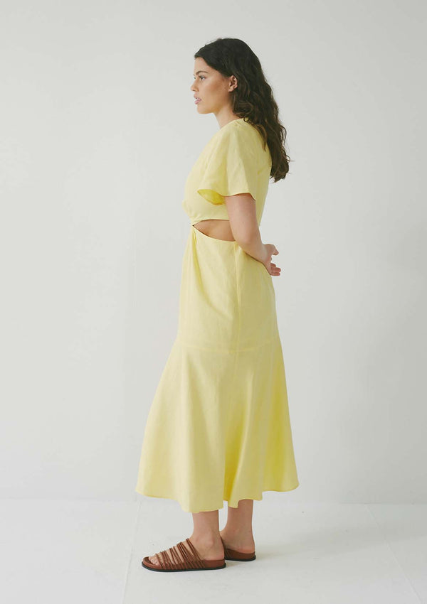 Link Dress